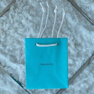 Tiffany & Co. Gift Bag
